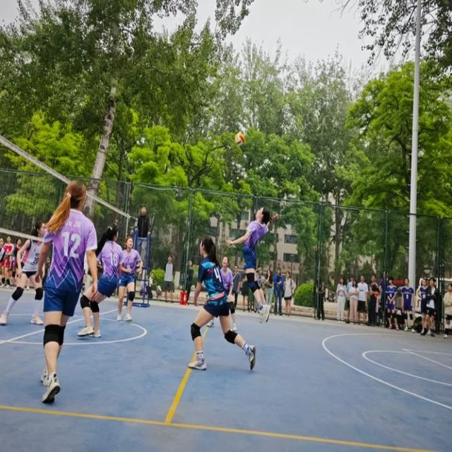 羽球亚锦赛精彩回顾与赛场焦点解析